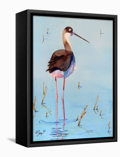 Black Neck Stilt III-Nancy LaBerge Muren-Framed Stretched Canvas