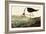 Black-necked Stilt-John James Audubon-Framed Art Print