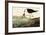 Black-necked Stilt-John James Audubon-Framed Art Print