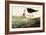 Black-necked Stilt-John James Audubon-Framed Art Print