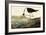 Black-necked Stilt-John James Audubon-Framed Art Print