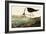 Black-necked Stilt-John James Audubon-Framed Art Print