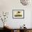 Black-necked Stilt-John James Audubon-Framed Art Print displayed on a wall