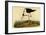 Black-necked Stilt-John James Audubon-Framed Art Print