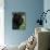 Black Neopolitan Mastiff Portrait-Adriano Bacchella-Photographic Print displayed on a wall
