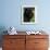Black Neopolitan Mastiff Portrait-Adriano Bacchella-Framed Photographic Print displayed on a wall