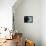 Black Newfoundland Dog Near Water-Adriano Bacchella-Framed Premier Image Canvas displayed on a wall