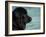 Black Newfoundland Dog Near Water-Adriano Bacchella-Framed Photographic Print