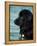Black Newfoundland Standing in Water-Adriano Bacchella-Framed Premier Image Canvas