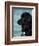 Black Newfoundland Standing in Water-Adriano Bacchella-Framed Premium Photographic Print