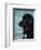 Black Newfoundland Standing in Water-Adriano Bacchella-Framed Premium Photographic Print