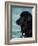 Black Newfoundland Standing in Water-Adriano Bacchella-Framed Photographic Print