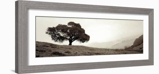 Black Oak #1-Alan Blaustein-Framed Photographic Print