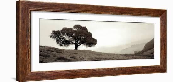 Black Oak #1-Alan Blaustein-Framed Photographic Print