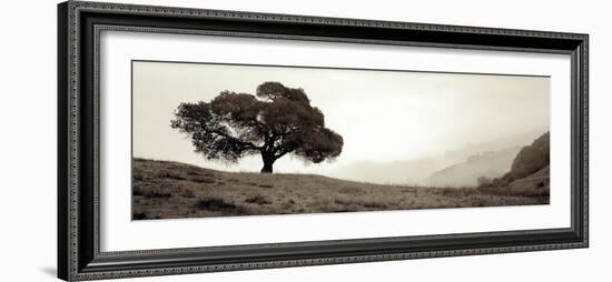 Black Oak #1-Alan Blaustein-Framed Photographic Print