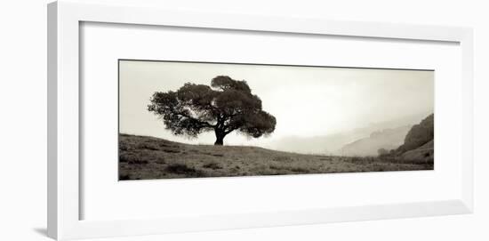 Black Oak I-Alan Blaustein-Framed Photographic Print