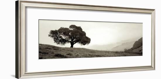 Black Oak I-Alan Blaustein-Framed Photographic Print