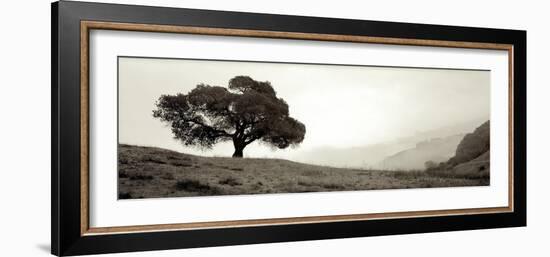 Black Oak I-Alan Blaustein-Framed Photographic Print