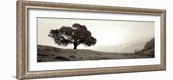 Black Oak I-Alan Blaustein-Framed Premium Photographic Print