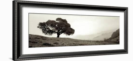 Black Oak I-Alan Blaustein-Framed Premium Photographic Print