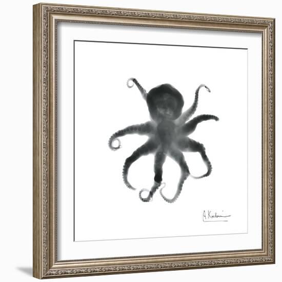 Black Octopus-Albert Koetsier-Framed Art Print