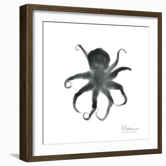 Black Octopus-Albert Koetsier-Framed Art Print