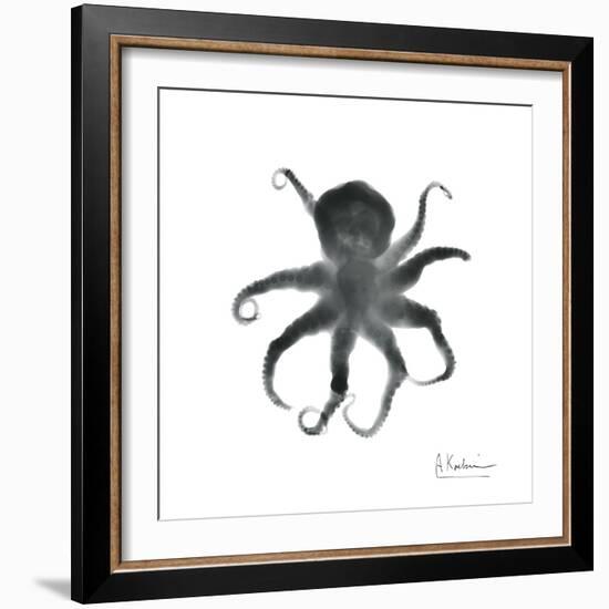 Black Octopus-Albert Koetsier-Framed Art Print