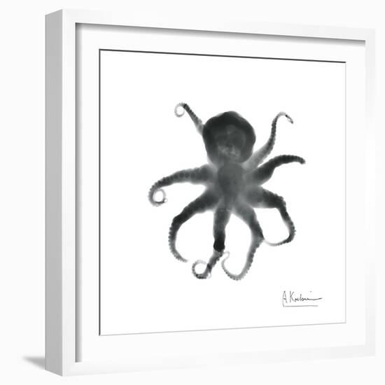 Black Octopus-Albert Koetsier-Framed Art Print