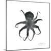 Black Octopus-Albert Koetsier-Mounted Art Print