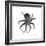 Black Octopus-Albert Koetsier-Framed Art Print