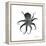 Black Octopus-Albert Koetsier-Framed Stretched Canvas