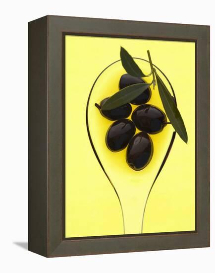 Black Olives in Olive Oil with Sprig of Olive Leaves-Marc O^ Finley-Framed Premier Image Canvas