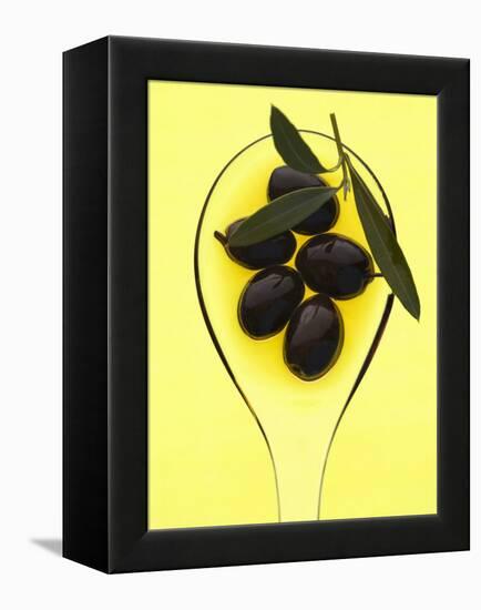 Black Olives in Olive Oil with Sprig of Olive Leaves-Marc O^ Finley-Framed Premier Image Canvas