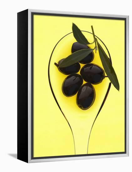 Black Olives in Olive Oil with Sprig of Olive Leaves-Marc O^ Finley-Framed Premier Image Canvas