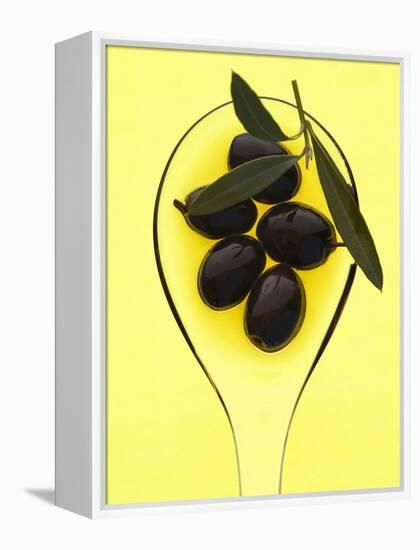 Black Olives in Olive Oil with Sprig of Olive Leaves-Marc O^ Finley-Framed Premier Image Canvas