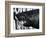 Black on Black Shark-Shark Toof-Framed Premium Giclee Print