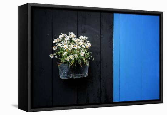 Black on Blue-Philippe Sainte-Laudy-Framed Premier Image Canvas