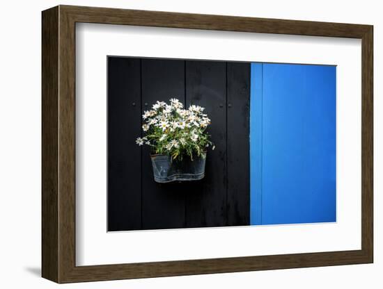 Black on Blue-Philippe Sainte-Laudy-Framed Photographic Print