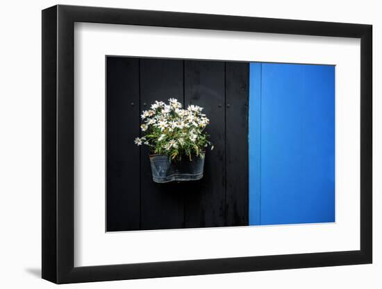 Black on Blue-Philippe Sainte-Laudy-Framed Photographic Print