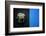 Black on Blue-Philippe Sainte-Laudy-Framed Photographic Print