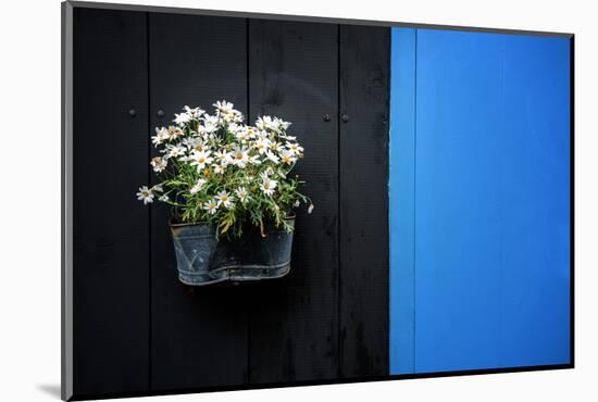 Black on Blue-Philippe Sainte-Laudy-Mounted Photographic Print