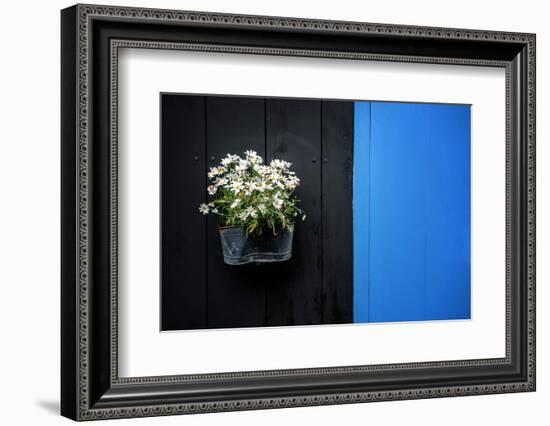 Black on Blue-Philippe Sainte-Laudy-Framed Photographic Print