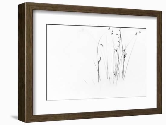 Black on White-Dusan Ljubicic-Framed Photographic Print