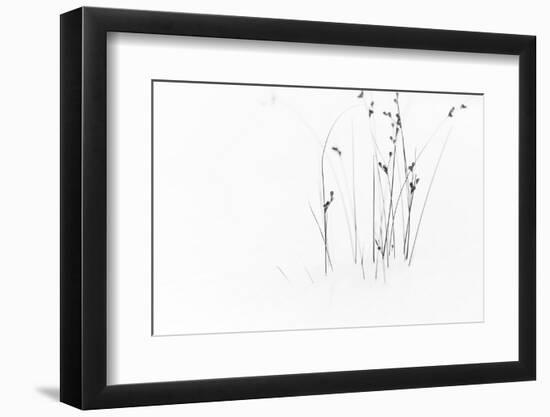 Black on White-Dusan Ljubicic-Framed Photographic Print