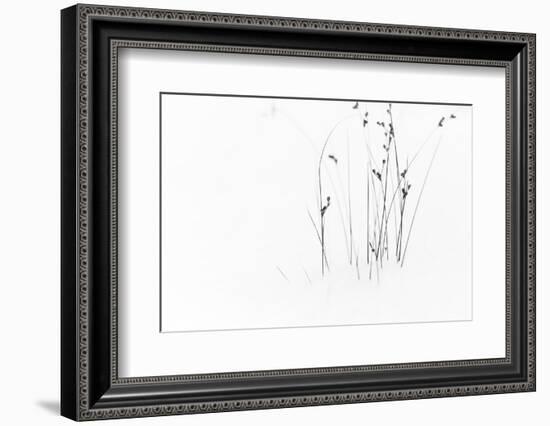 Black on White-Dusan Ljubicic-Framed Photographic Print