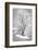 Black on White-Philippe Sainte-Laudy-Framed Photographic Print