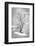 Black on White-Philippe Sainte-Laudy-Framed Photographic Print