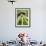 Black Orchid, Belize-William Sutton-Framed Photographic Print displayed on a wall