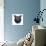 Black Owl Head Mesh-Lisa Kroll-Premium Giclee Print displayed on a wall