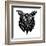 Black Owl Head Mesh-Lisa Kroll-Framed Art Print